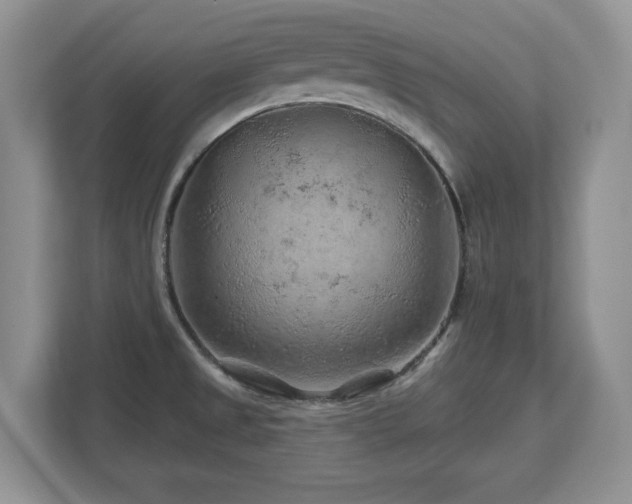 X0000112801525200908211123