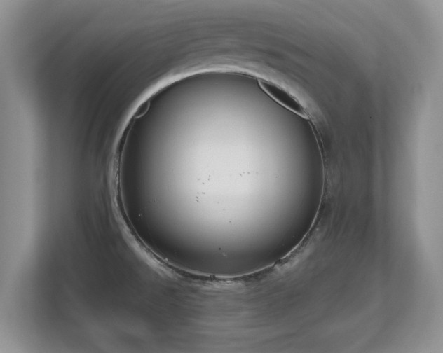 X0000112801526200908211123