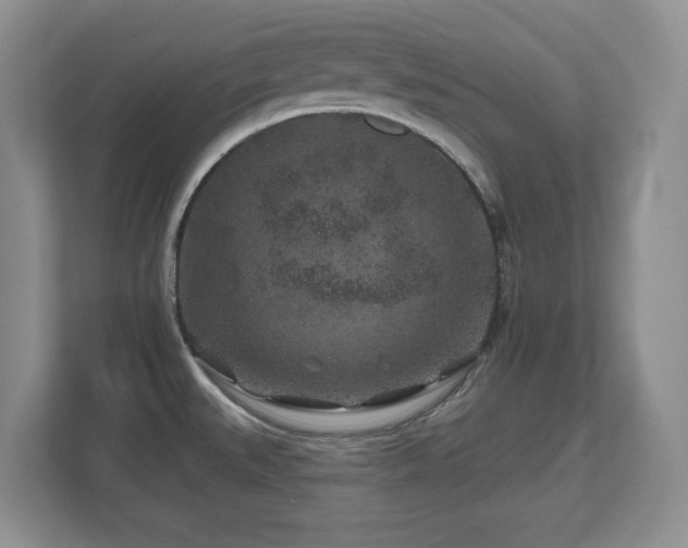 X0000112801527200908211123