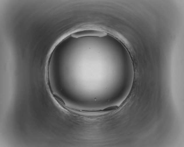 X0000112801528200908211123
