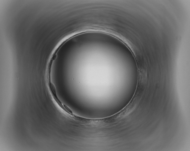X0000112801531200908211123