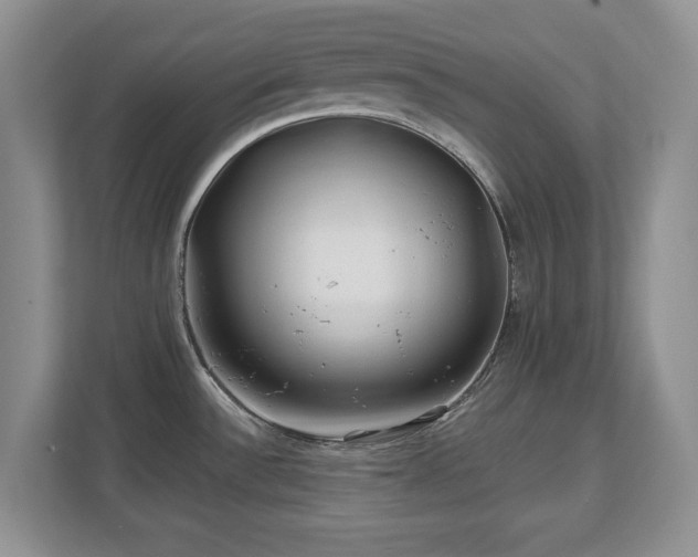 X0000112801532200908211123