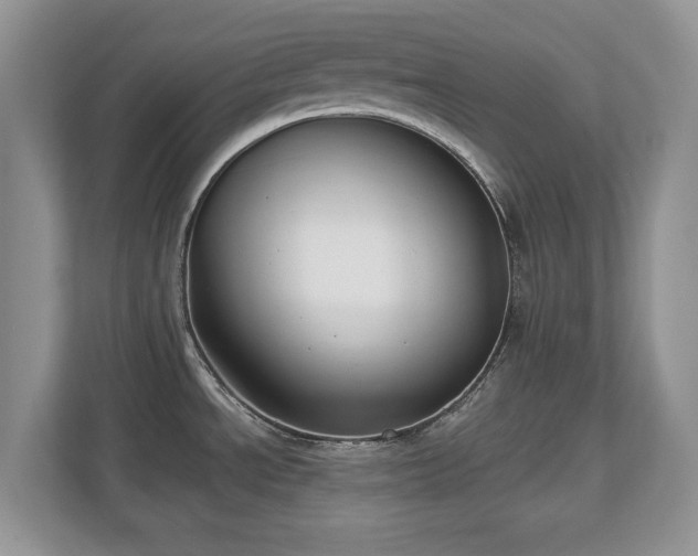 X0000112801534200908211123