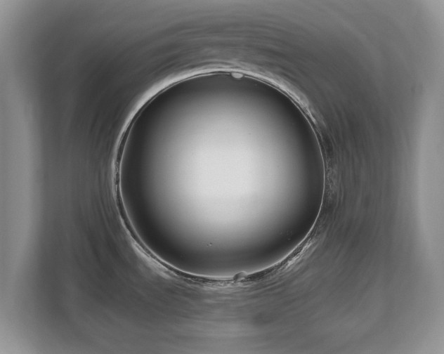 X0000112801535200908211123