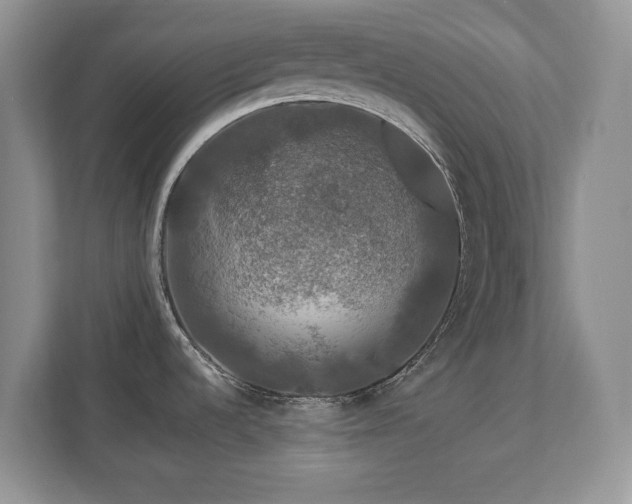 X0000112801536200908211123
