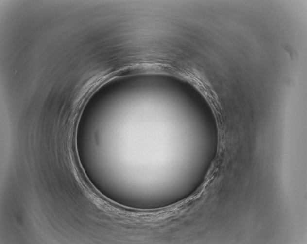 X0000112800001200908281538