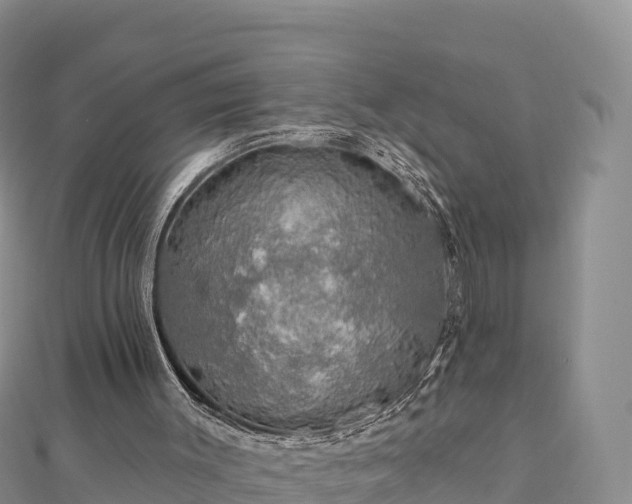 X0000112800003200908281538