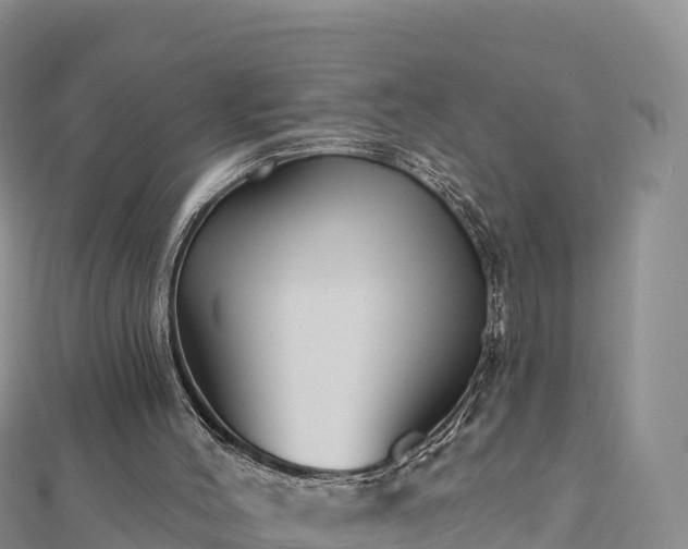 X0000112800004200908281538
