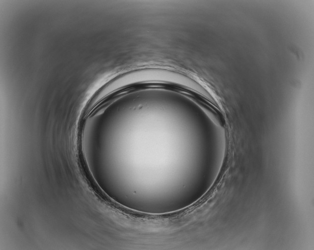 X0000112800008200908281538