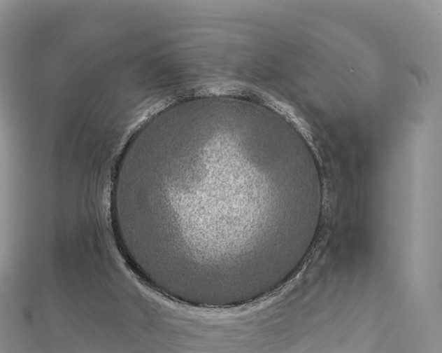X0000112800010200908281538