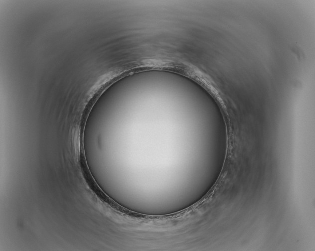 X0000112800011200908281538
