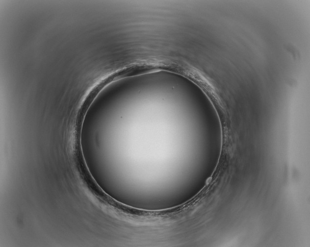 X0000112800012200908281538