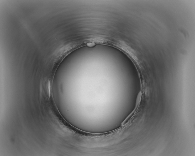 X0000112800013200908281538