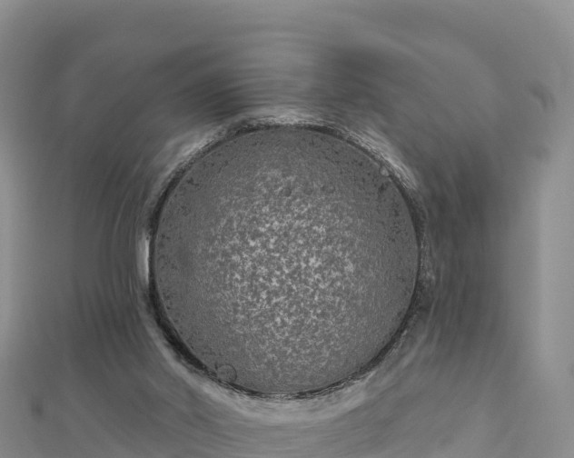 X0000112800014200908281538