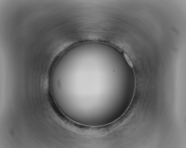 X0000112800016200908281538