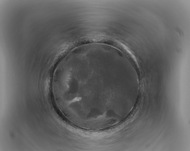 X0000112800018200908281538