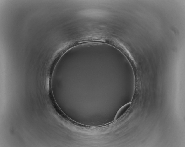 X0000112800019200908281538