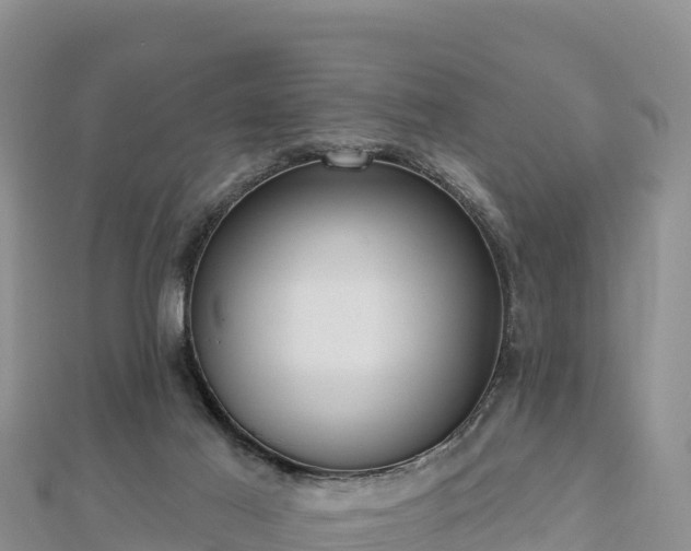 X0000112800021200908281538