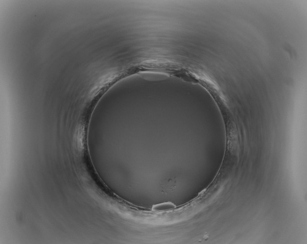 X0000112800023200908281538