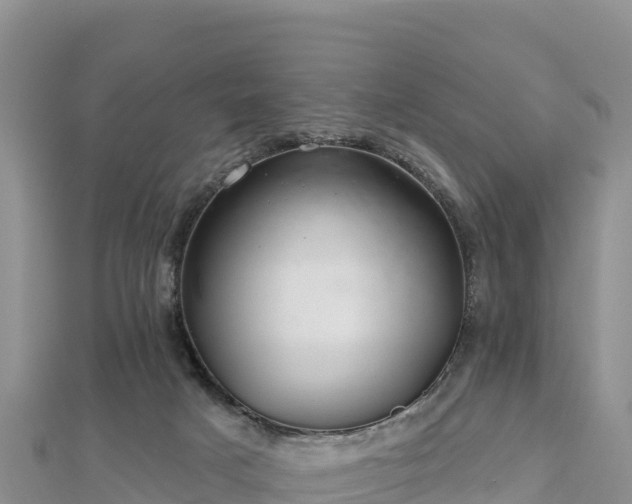 X0000112800025200908281538