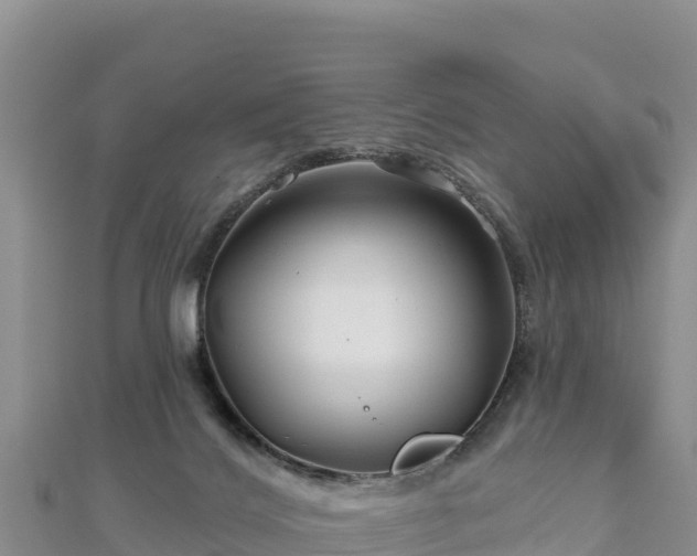 X0000112800028200908281538