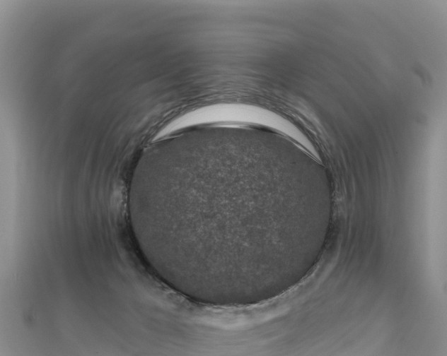 X0000112800029200908281538