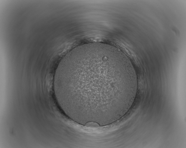 X0000112800030200908281538