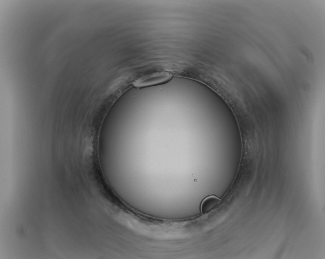 X0000112800032200908281538