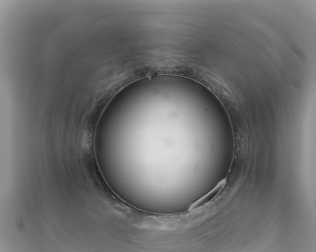 X0000112800033200908281537