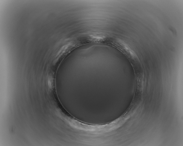 X0000112800035200908281537
