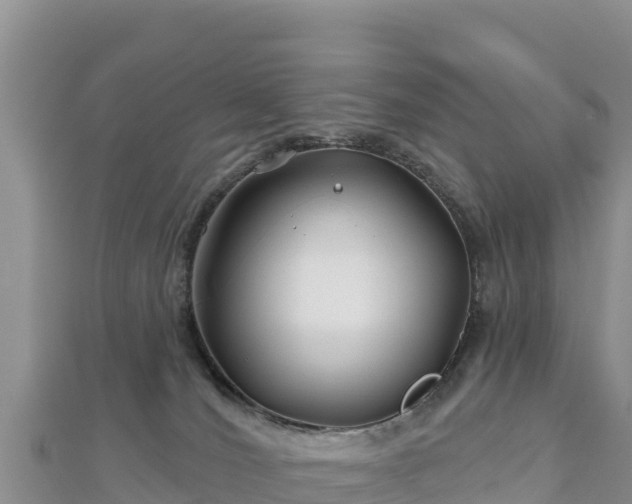 X0000112800036200908281537