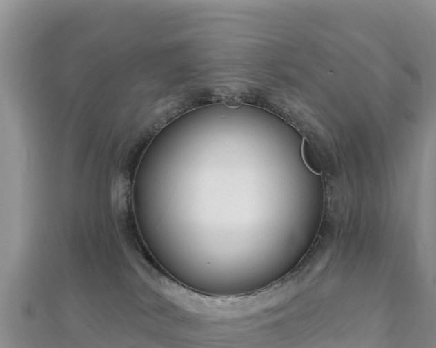 X0000112800038200908281537