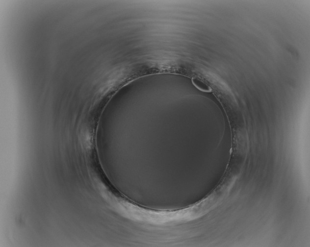 X0000112800039200908281537