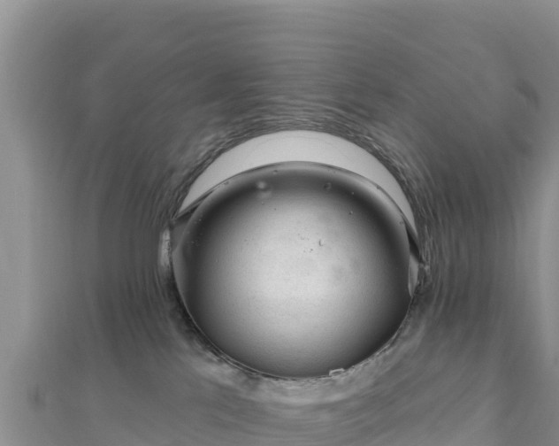X0000112800041200908281537