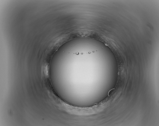 X0000112800042200908281537