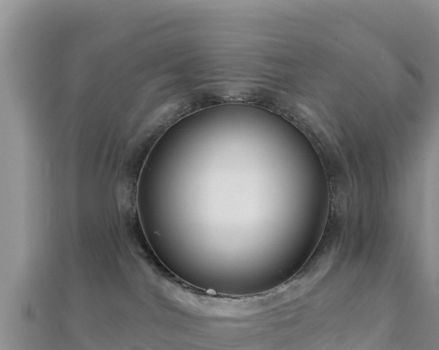 X0000112800044200908281537