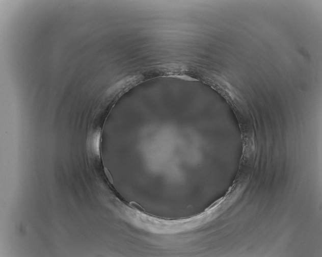 X0000112800047200908281537
