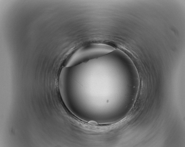 X0000112800048200908281537