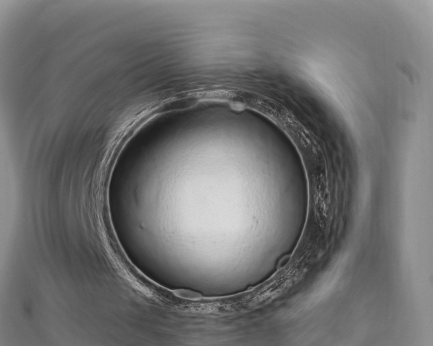 X0000112800049200908281537