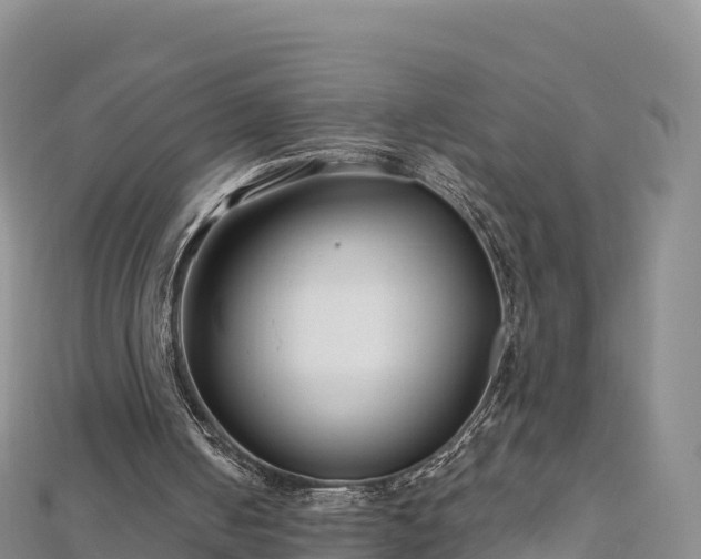 X0000112800050200908281537