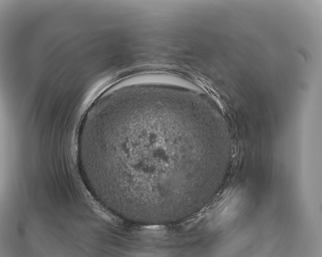X0000112800053200908281537