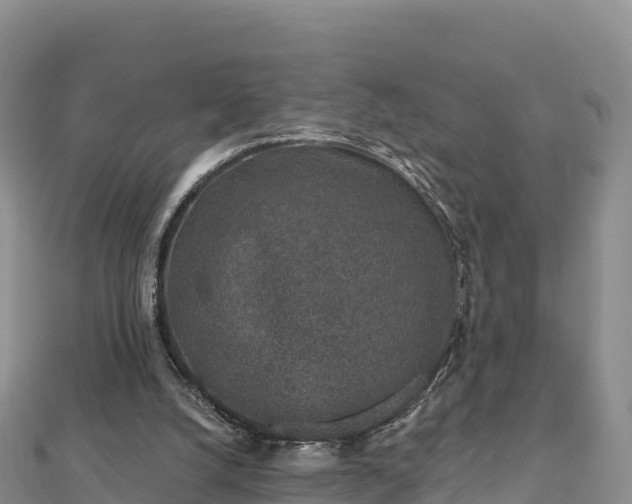 X0000112800056200908281537