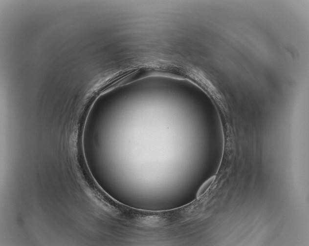 X0000112800058200908281537