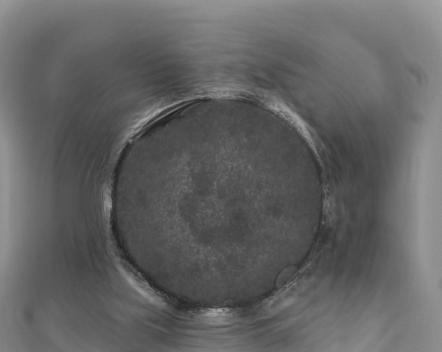 X0000112800059200908281537