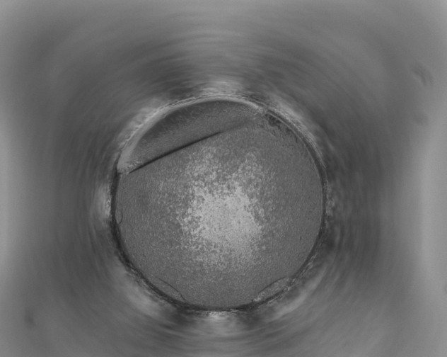 X0000112800060200908281537
