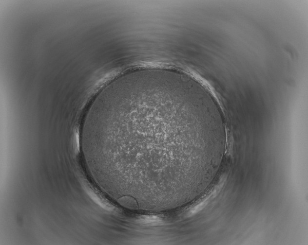 X0000112800061200908281537