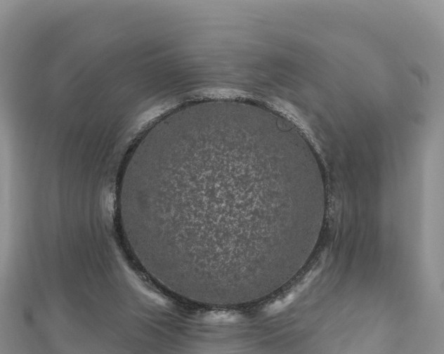 X0000112800063200908281537