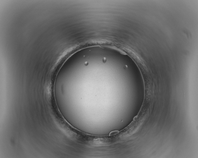 X0000112800064200908281537