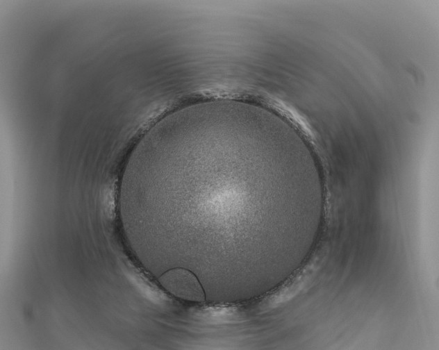 X0000112800065200908281537