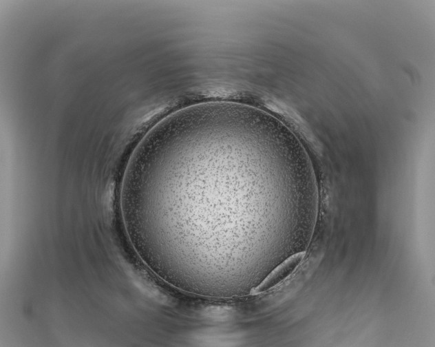 X0000112800066200908281537